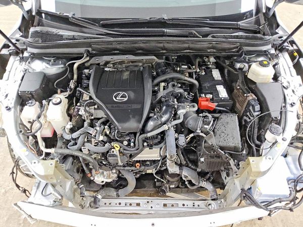 2024 LEXUS RX 350