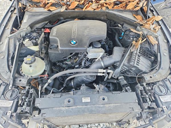 2015 BMW 5 SERIES xDrive — Engine bay