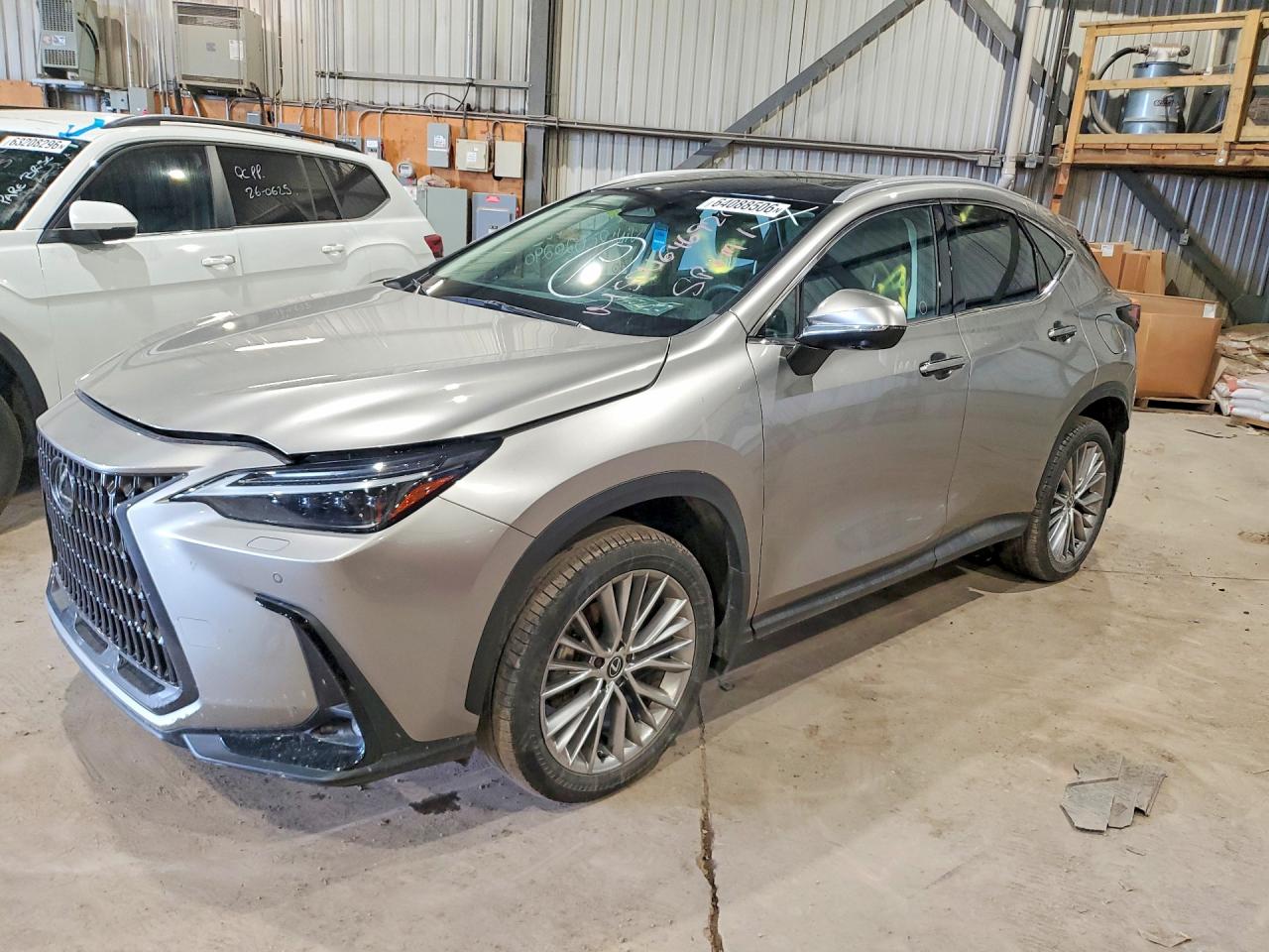 2024 LEXUS NX