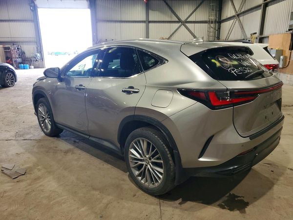 2024 LEXUS NX