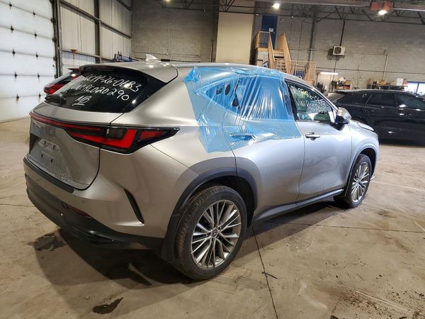 2024 LEXUS NX