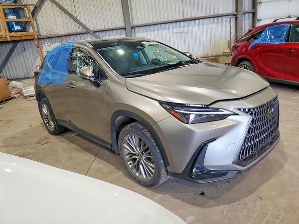 2024 LEXUS NX