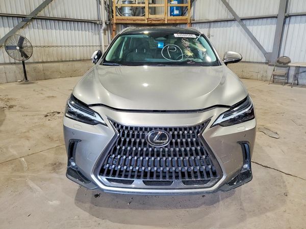 2024 LEXUS NX