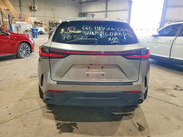 2024 LEXUS NX