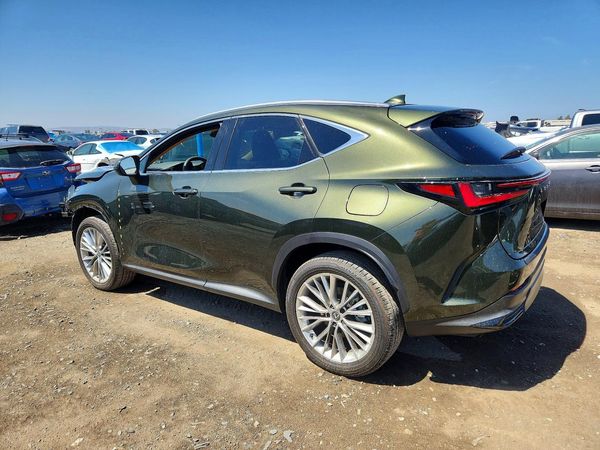 2025 LEXUS NX 350H 350h Premium