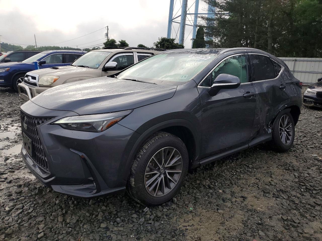 2025 LEXUS NX