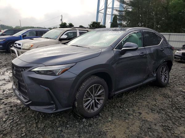 2025 LEXUS NX