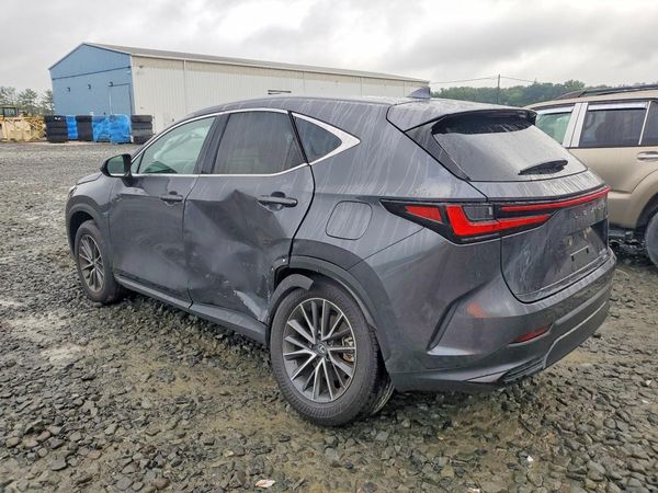 2025 LEXUS NX