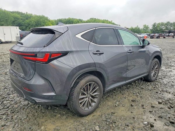 2025 LEXUS NX
