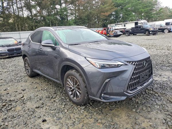 2025 LEXUS NX