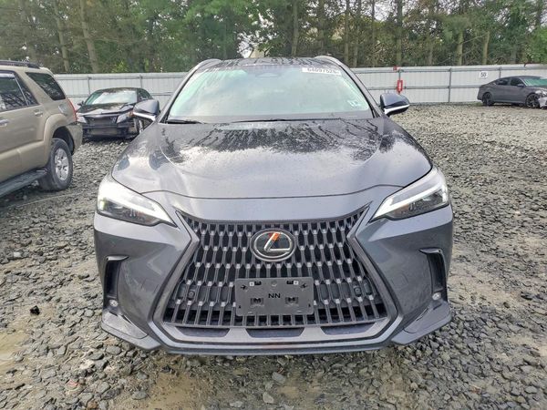 2025 LEXUS NX