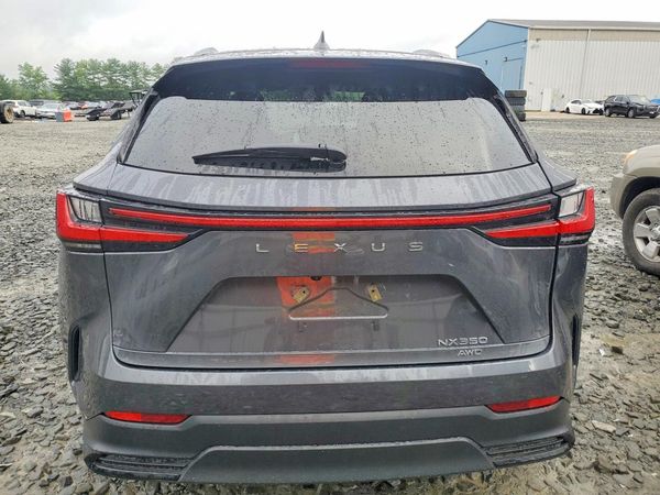 2025 LEXUS NX
