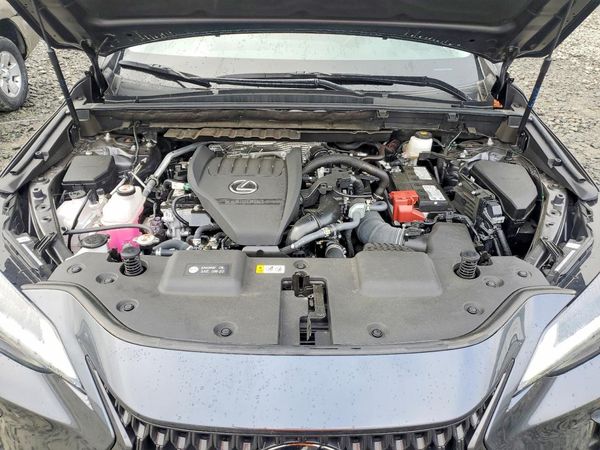 2025 LEXUS NX