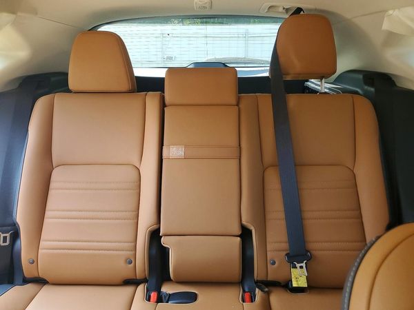 2020 LEXUS NX 300 Base — SUVN