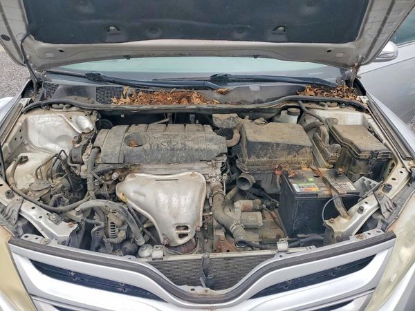 2013 TOYOTA VENZA
