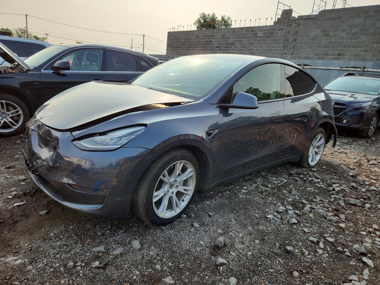 2021 TESLA MODEL Y