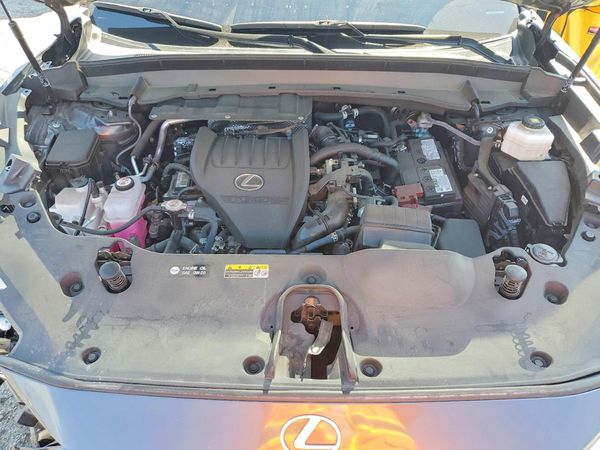 2024 LEXUS TX 350