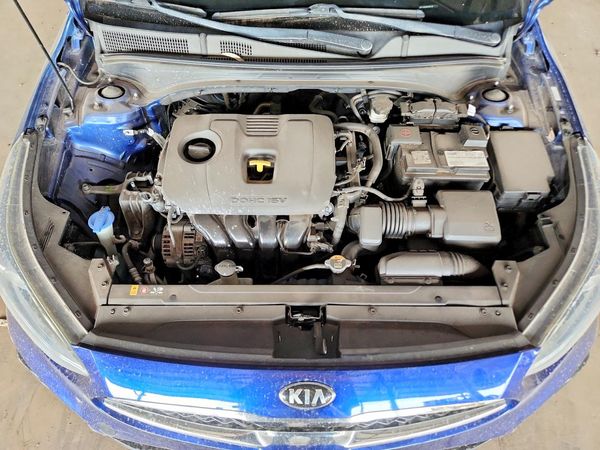 2019 KIA FORTE S/GT Line
