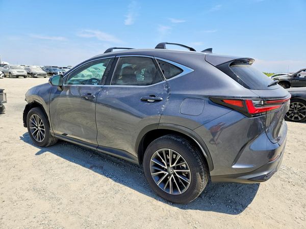 2025 LEXUS NX 350H 350h Premium — DSRA