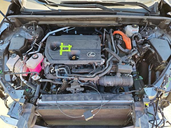 2025 LEXUS NX 350H 350h Premium — Engine bay