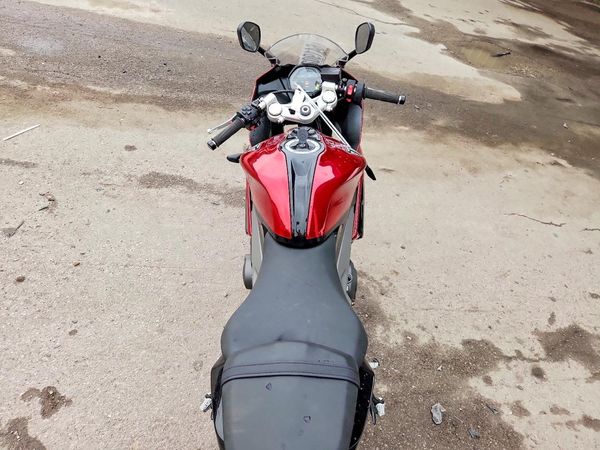 2025 TRIUMPH MOTORCYCLE DAYTONA 66