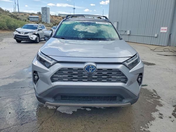 2024 TOYOTA RAV4 Limited — DIRF
