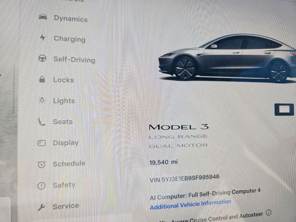 2025 TESLA MODEL 3