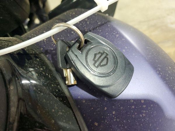 2025 HARLEY-DAVIDSON FL