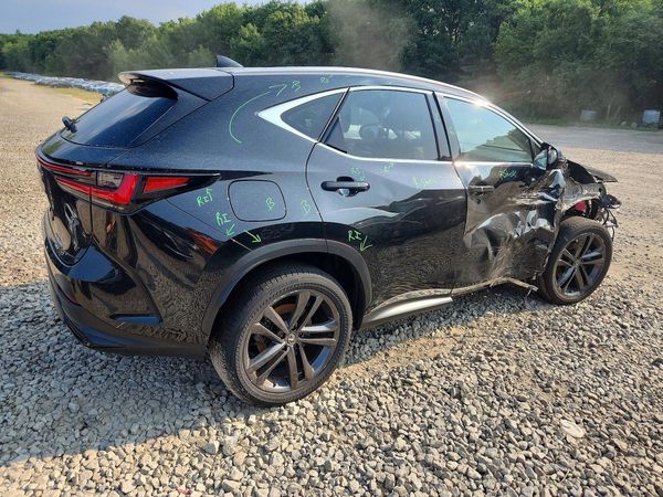 2022 LEXUS NX 450h+ Luxury