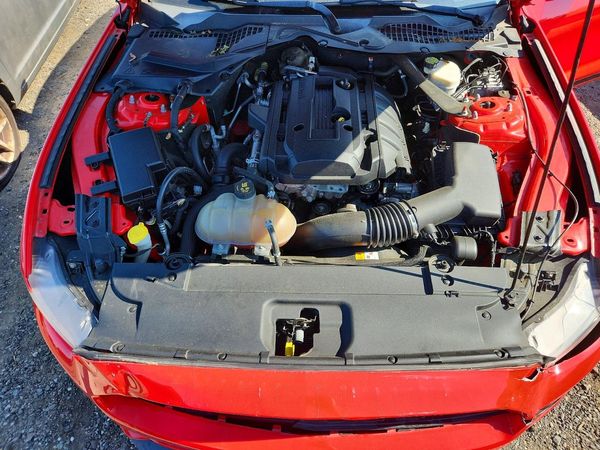 2017 FORD MUSTANG I4 Convertible