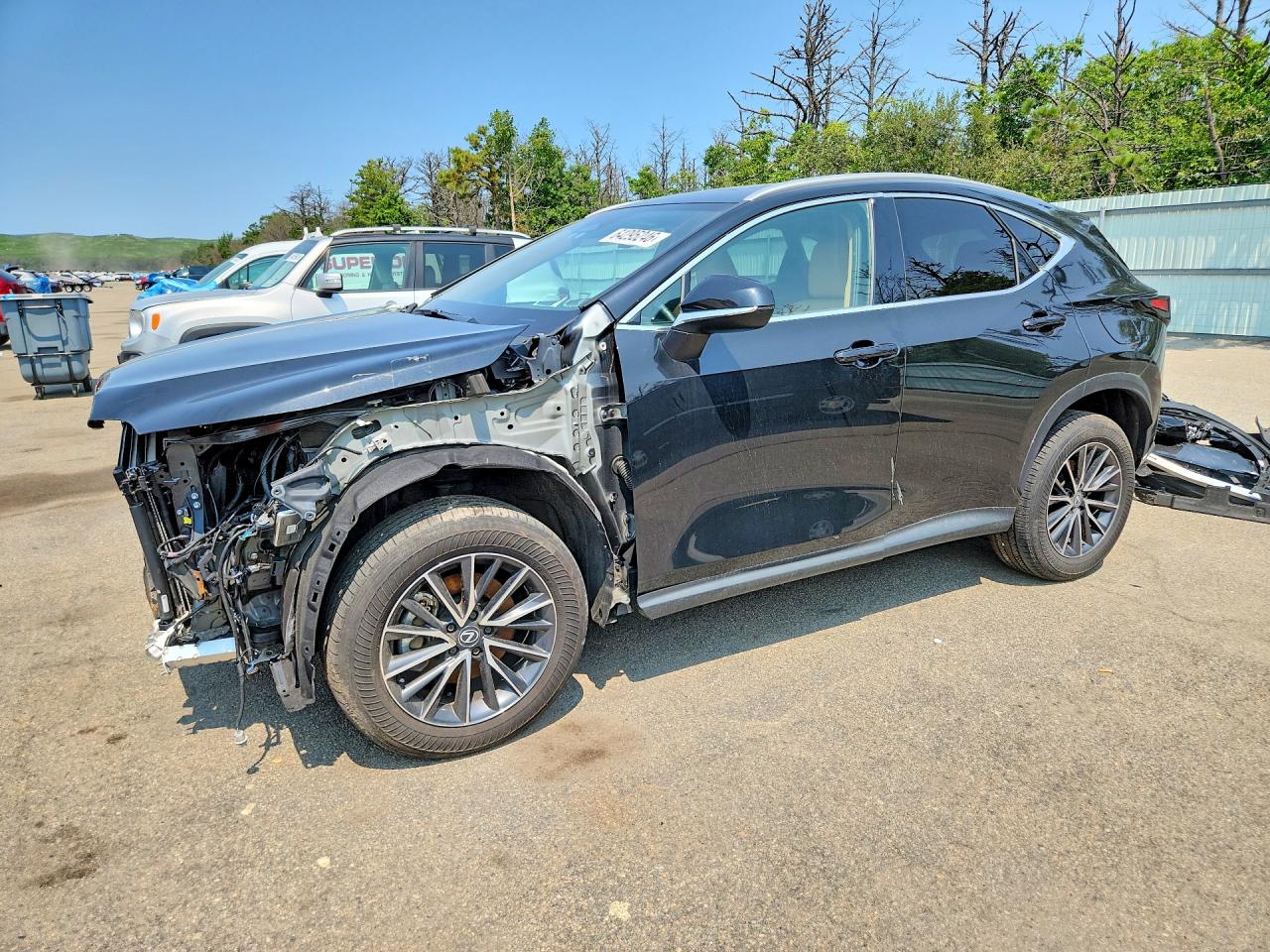 2024 LEXUS NX 350