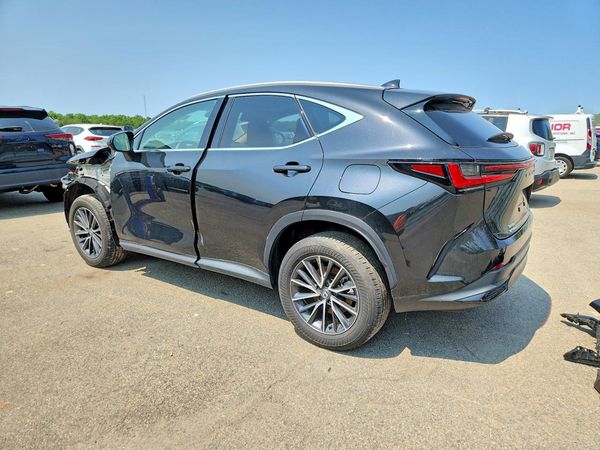 2024 LEXUS NX 350