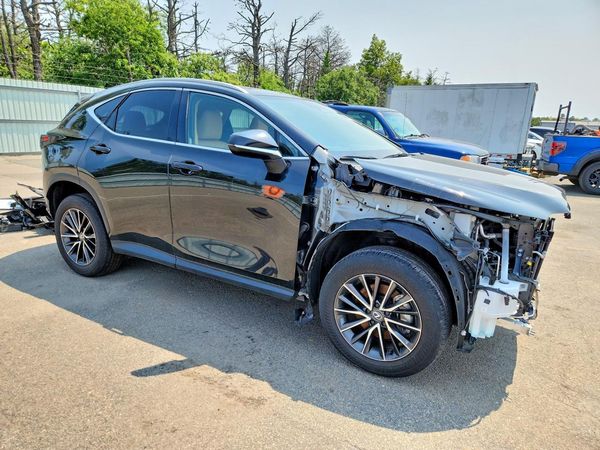 2024 LEXUS NX 350