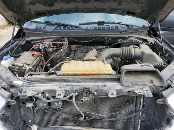 2019 FORD F150