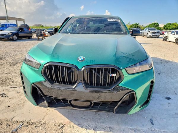 2024 BMW X6