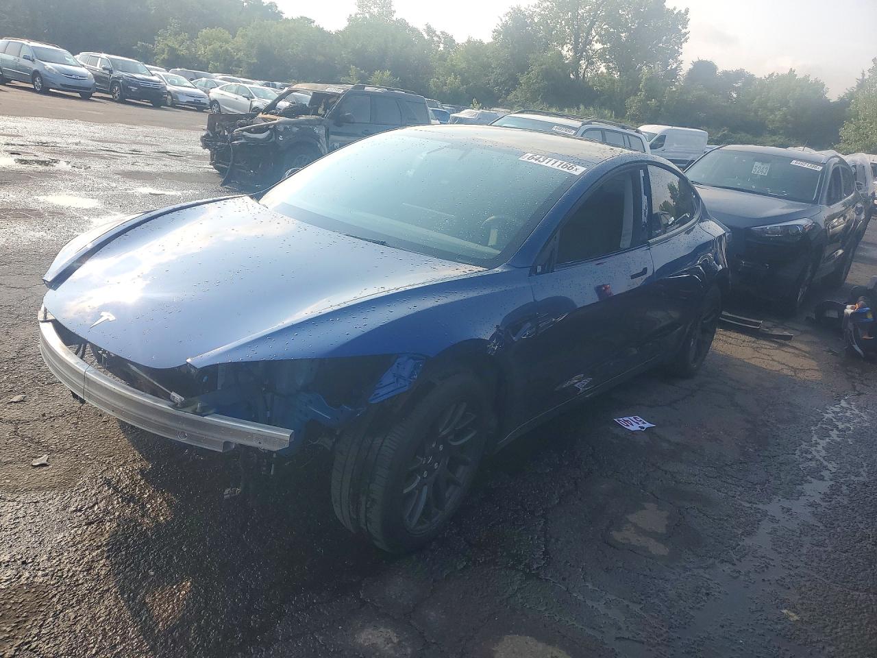 2025 TESLA MODEL 3