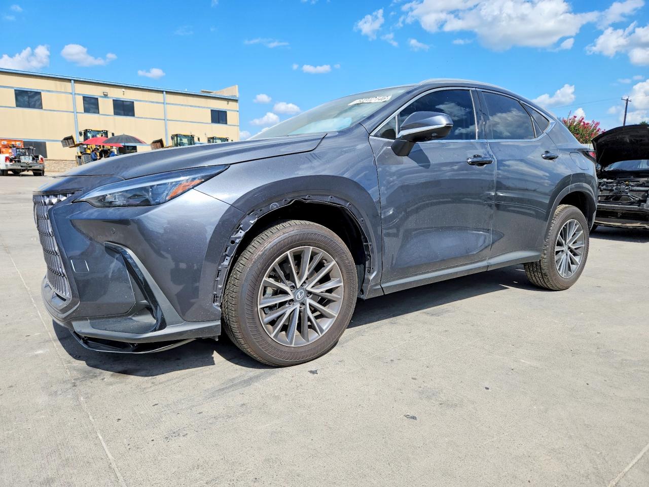 2026 LEXUS NX