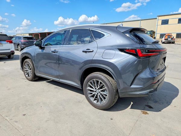 2026 LEXUS NX