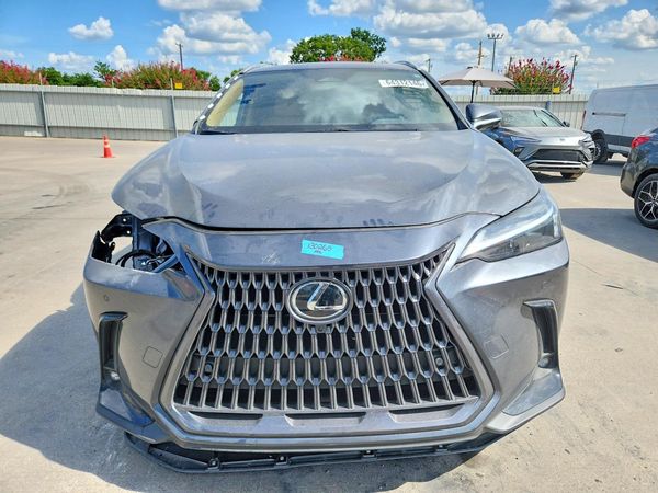 2026 LEXUS NX