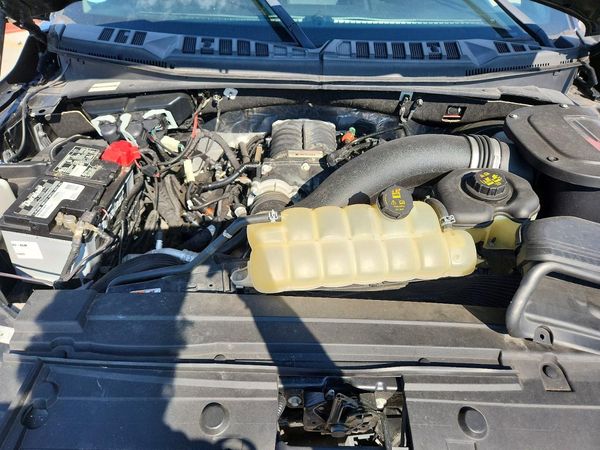 2019 FORD F150