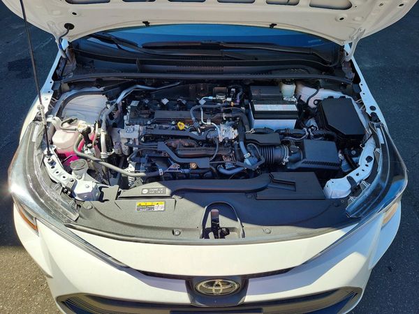 2026 TOYOTA COROLLA