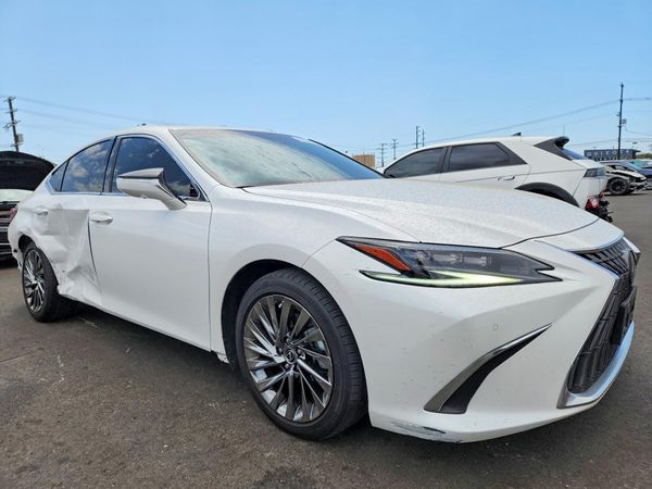 2025 LEXUS ES 300H