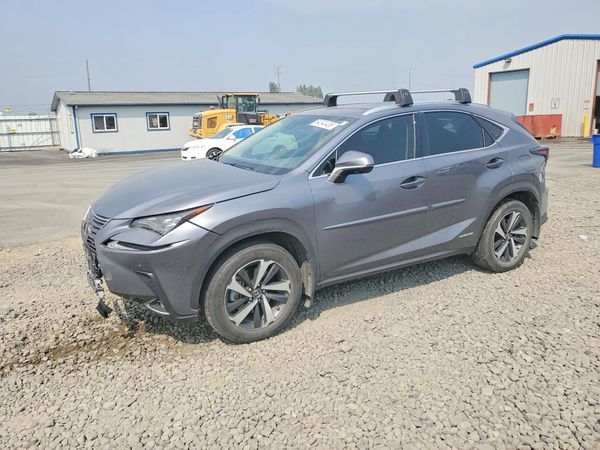 2020 LEXUS NX 300H Luxury