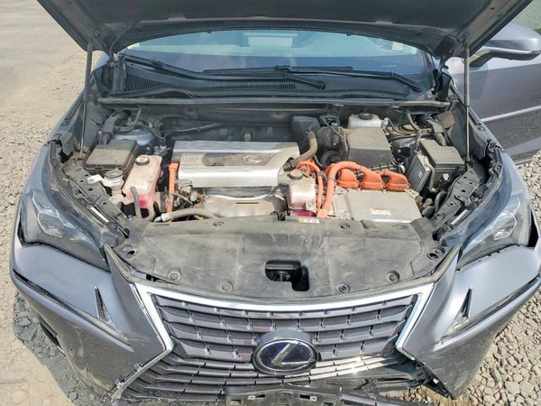 2020 LEXUS NX 300H Luxury