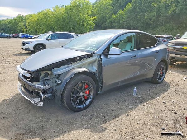 2024 TESLA MODEL Y