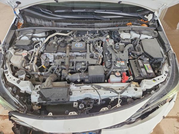 2024 TOYOTA COROLLA