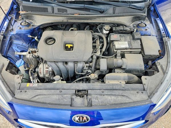 2019 KIA FORTE FE/LX/LXS
