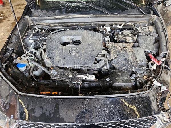 2024 MAZDA CX30 CX-30 — Engine bay