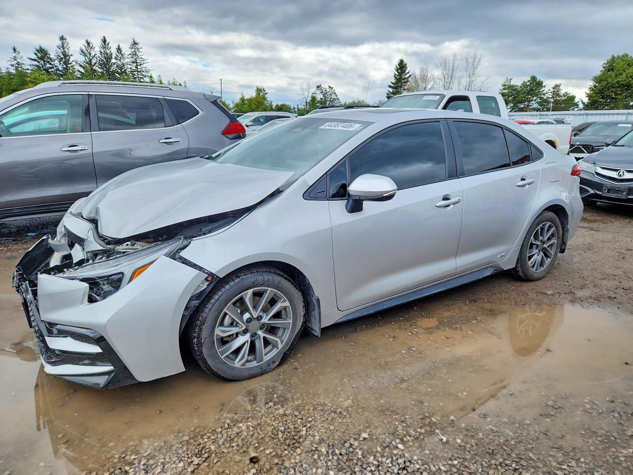 2024 TOYOTA COROLLA