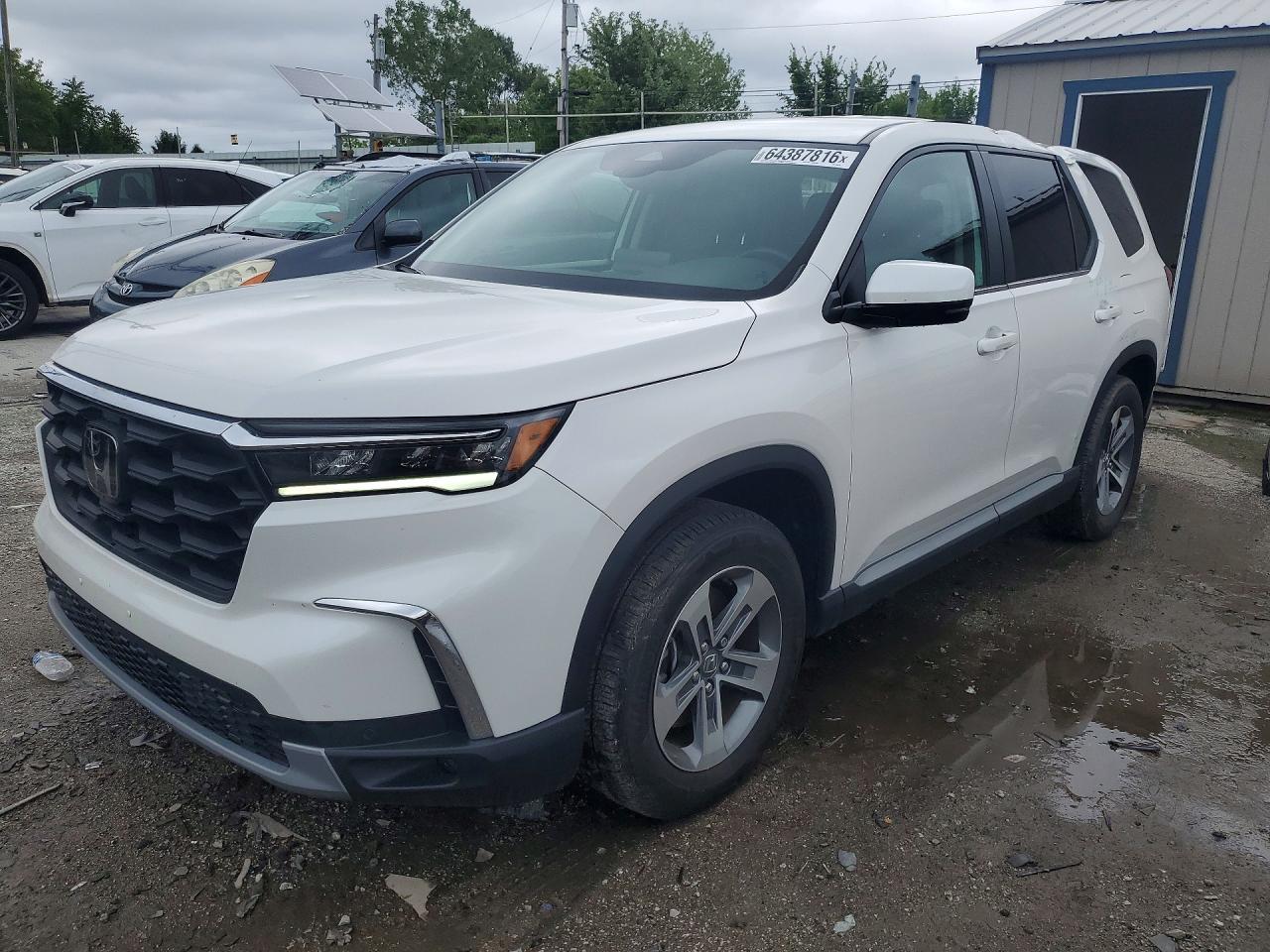 2025 HONDA PILOT EX-L, EX-L HPD